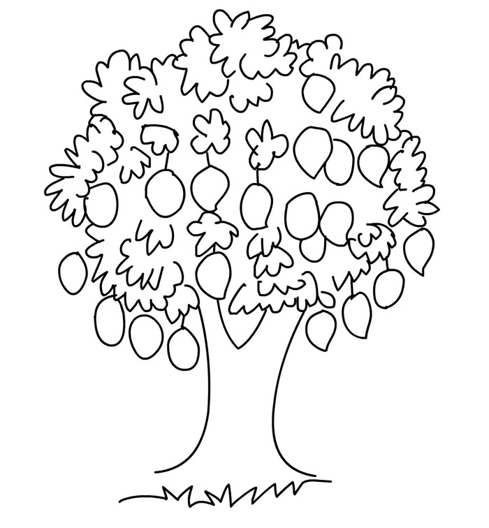 clipart mango tree - photo #16