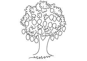 mango-tree
