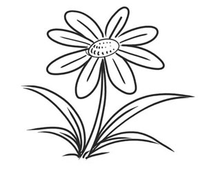 cartoon flower drawings