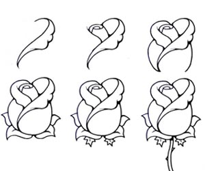 flower drawing step by step