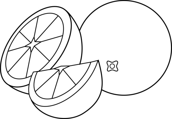 Nature fruit drawing for kids